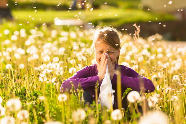Mädchen auf Wiese mit Pusteblumen und Allergie